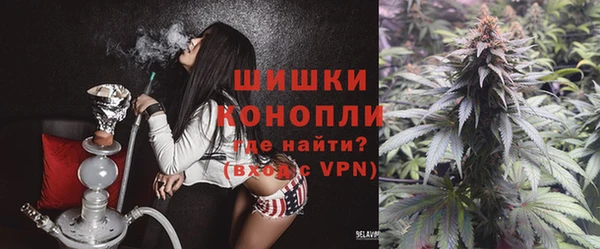 тгк Лиски