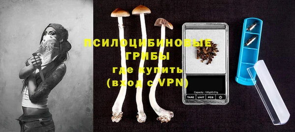 тгк Лиски
