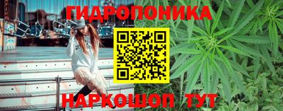 гидропоника Бийск