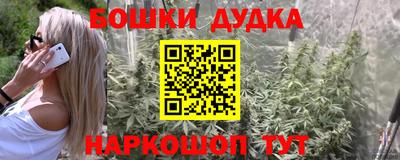 прущий лед Кингисепп