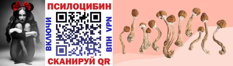 цены наркотик  блэк спрут зеркало  Галлюциногенные грибы GOLDEN TEACHER  Чайковский 