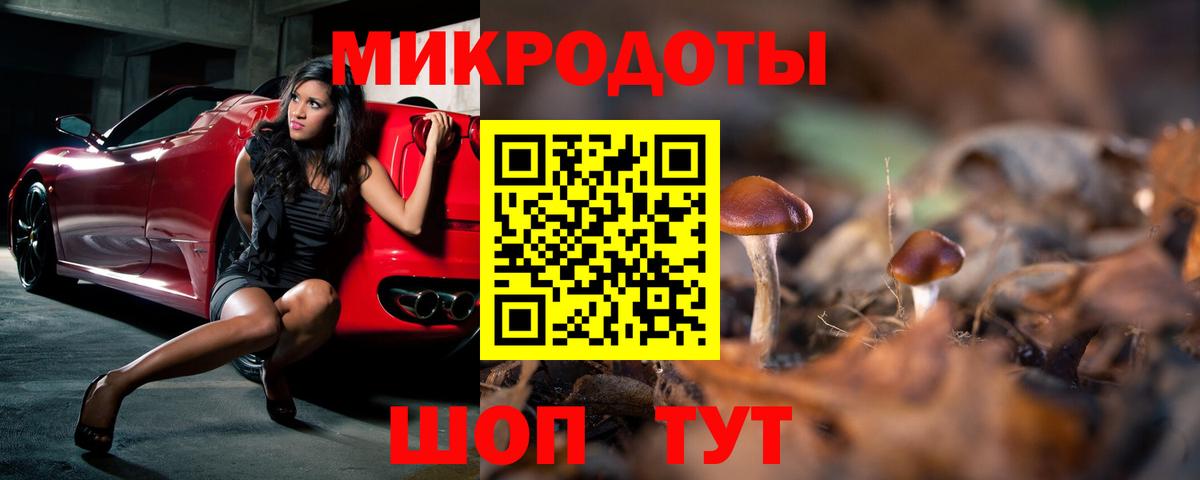 Галлюциногенные грибы мухоморы Чайковский